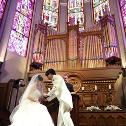 プリムローズの写真14枚目