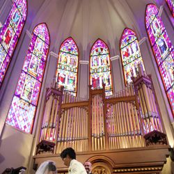 プリムローズの写真2枚目