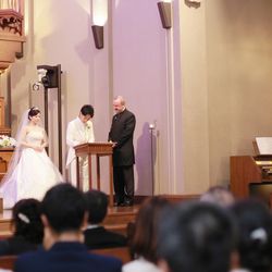 プリムローズの写真13枚目