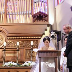 プリムローズの写真23枚目