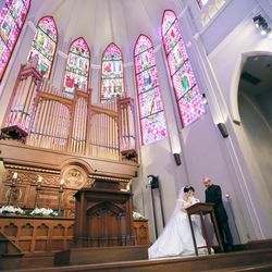 プリムローズの写真25枚目