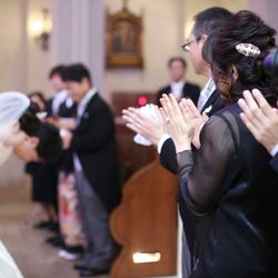 プリムローズの写真14枚目