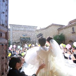 プリムローズの写真7枚目