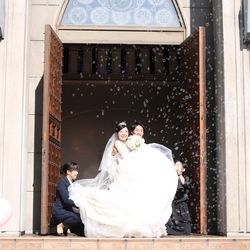 プリムローズの写真24枚目