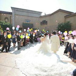 プリムローズの写真27枚目