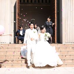 プリムローズの写真28枚目