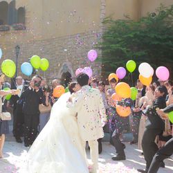 プリムローズの写真10枚目