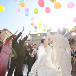 プリムローズの写真11枚目