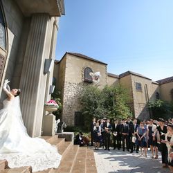 プリムローズの写真31枚目