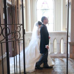 プリムローズの写真33枚目