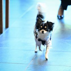 TRUNK HOTELの写真10枚目