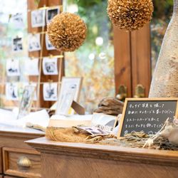 オランジュベールの写真12枚目