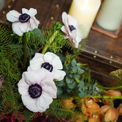 アルモニーソルーナ 表参道の写真10枚目