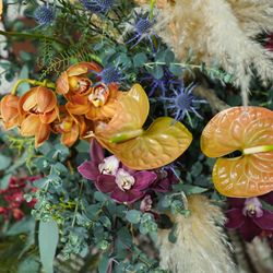 アルモニーソルーナ 表参道の写真22枚目