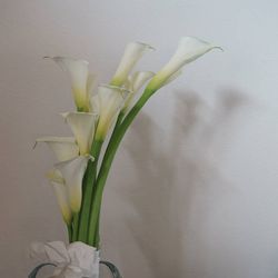 ザ ソウドウ 東山 京都の写真16枚目