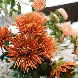 ザ・ガーデンオリエンタル大阪の写真10枚目