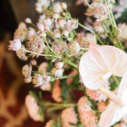 ザ・ガーデンオリエンタル大阪の写真5枚目