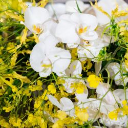 東京會舘の写真15枚目