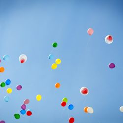 ブルーレマン名古屋の写真16枚目