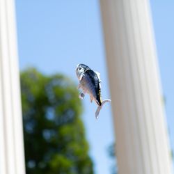 ベイサイド迎賓館 和歌山の写真32枚目