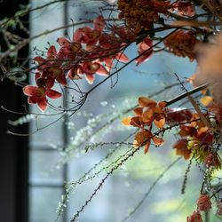 ザ ソウドウ 東山 京都の写真30枚目