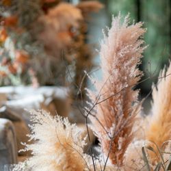 ザ ソウドウ 東山 京都の写真5枚目