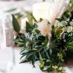 SOLA KOBEの写真15枚目