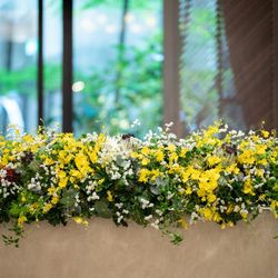 クラシカ表参道の写真30枚目