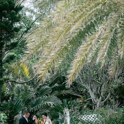 ザ・ルイガンズ スパ&リゾートの写真20枚目