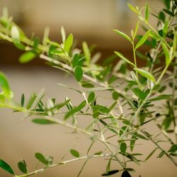リバーバンク大阪の写真3枚目