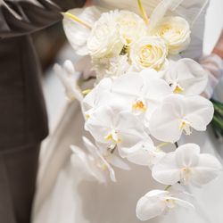 ラソールガーデン大阪の写真15枚目