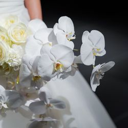 ラソールガーデン大阪の写真8枚目