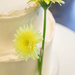 ザ・カワブンナゴヤの写真34枚目