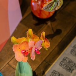 ザ・カワブンナゴヤの写真24枚目