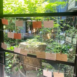 ザ・カワブンナゴヤの写真10枚目