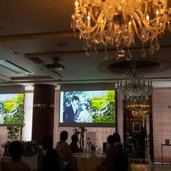 アルジェントの写真35枚目