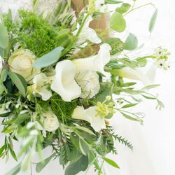 アルジェントの写真24枚目