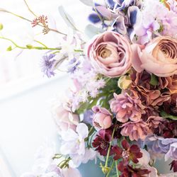 アルジェントの写真22枚目