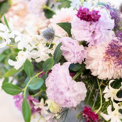 アルジェントの写真25枚目