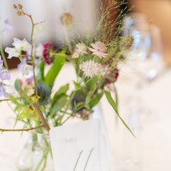 アルジェントの写真29枚目