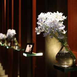 アルジェントの写真35枚目