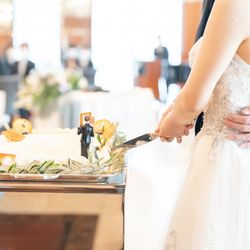 アルジェントの写真8枚目