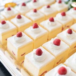 アルジェントの写真8枚目