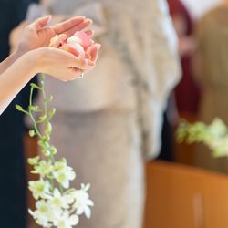 アルジェントの写真25枚目