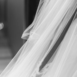 アルジェントの写真3枚目