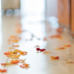 アルジェントの写真35枚目