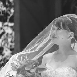 アルジェントの写真15枚目