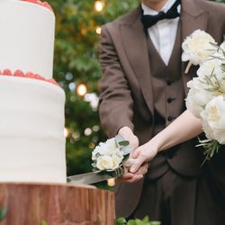 アコールハーブの写真29枚目