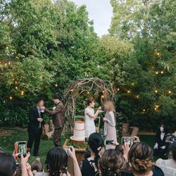 アコールハーブの写真1枚目