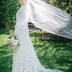 アコールハーブの写真3枚目